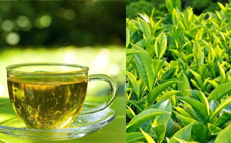 Cách uống trà xanh đúng cách tốt cho sức khỏe
