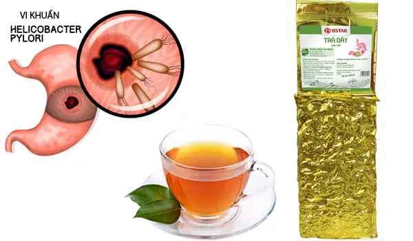 Trà dây Chữa Dạ Dày – Thuốc Hiệu Quả An Toàn Nhất Hiện Nay