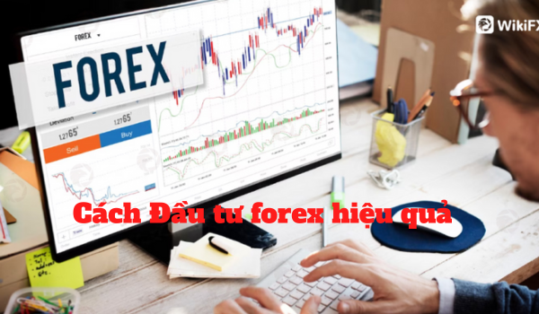 Cách đầu tư forex hiệu quả nhất